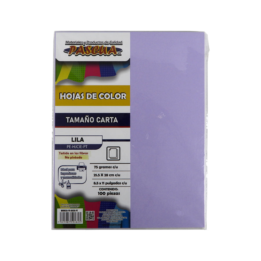 PAPEL BOND PASCUA CARTA COLOR 100 HOJAS