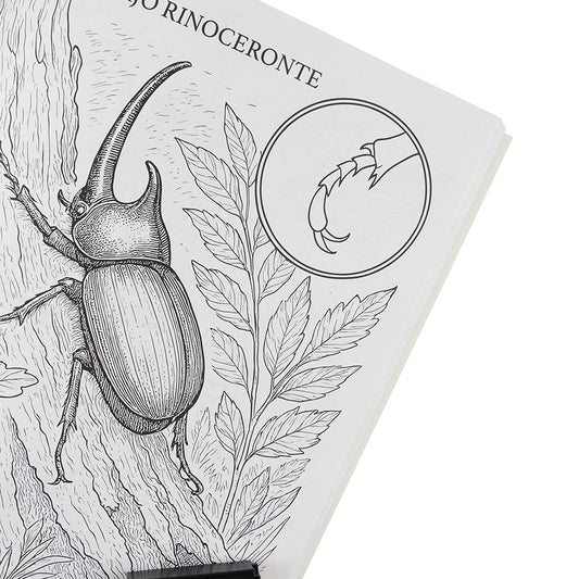 LIBRO PARA COLOREAR BICHOS Y OTROS INSECTOS ED. DELFIN