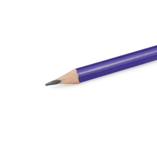 LAPIZ T SHELY NEON #2