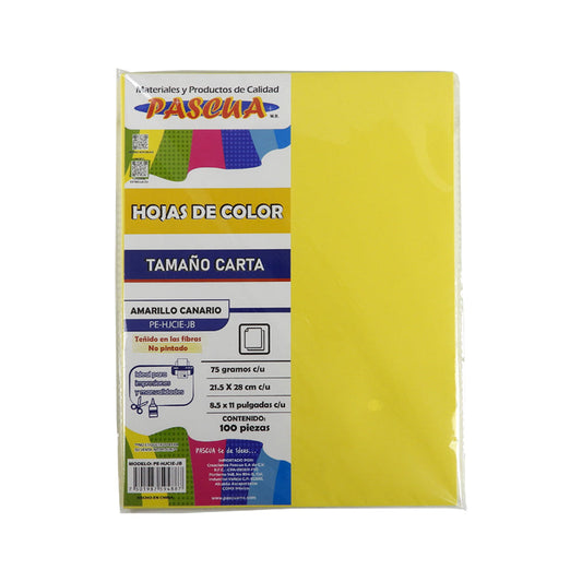 PAPEL BOND PASCUA CARTA COLOR 100 HOJAS