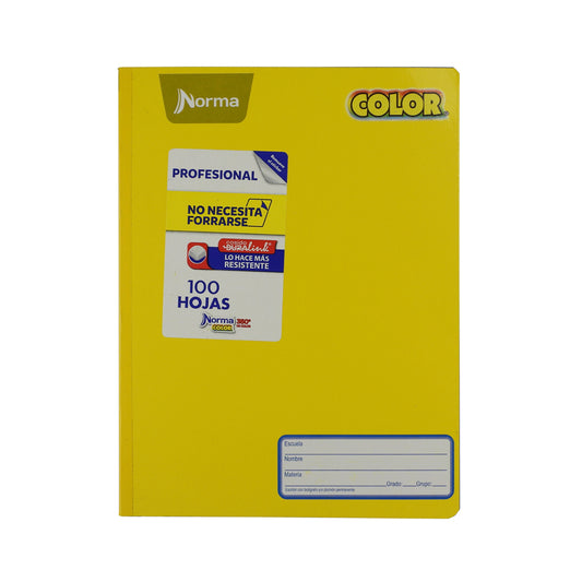 CUADERNO PROFESIONAL NORMA COLOR 360 COSIDO 100 HOJAS