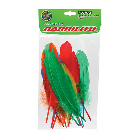 PLUMAS DE COLOR BARRILITO GRANDE SURTIDO 24 PIEZAS F024