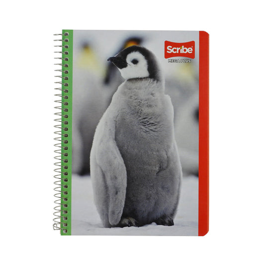 CUADERNO FORMA FRANCESA SCRIBE ESCOLAR MEGA ESPIRAL CUADRO GRANDE 100 HOJAS